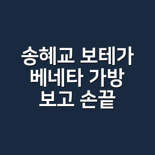 송혜교 보테가 베네타 가방 보고 손끝 컬러까지 맞춰본 이야기 - 요약