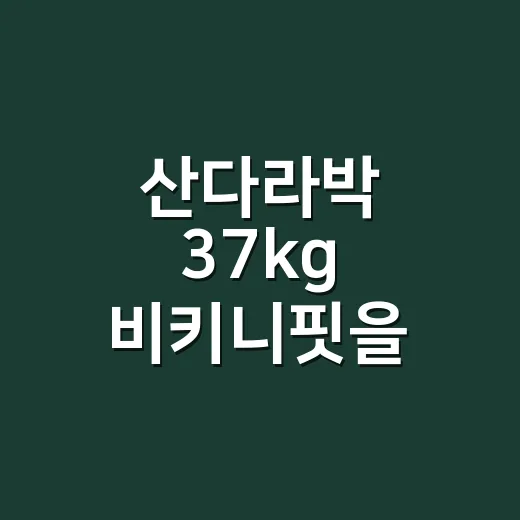 산다라박 37kg 비키니핏을 보고 손끝까지 맞춰본 헤어 스타일 이야기