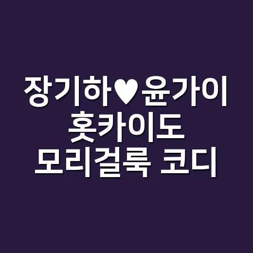 장기하♥윤가이 홋카이도 모리걸룩 코디를 손끝까지 맞춰봤더니 - 요약