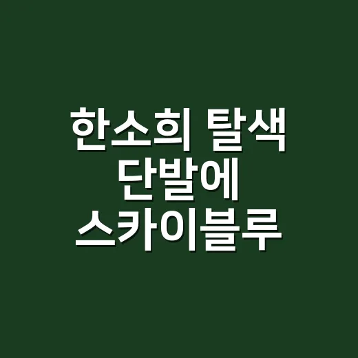 한소희 탈색 단발에 스카이블루 블라우스까지, 손끝 컬러를 맞춰봤더니 - 요약