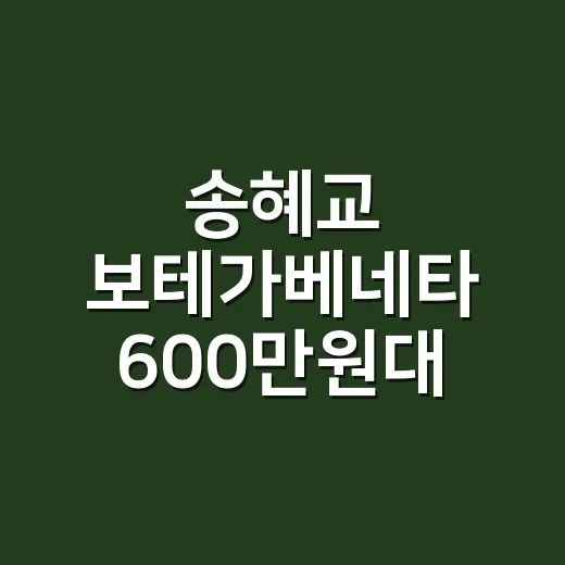 송혜교 보테가베네타 600만원대 가방 보고 손끝 컬러까지 맞춰본 이야기 - 요약