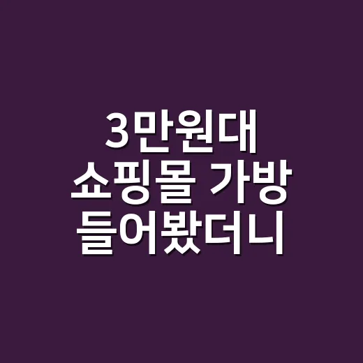 3만원대 쇼핑몰 가방 들어봤더니, 연예인 호평템 분위기가 손끝까지 달라 보였어요 - 요약