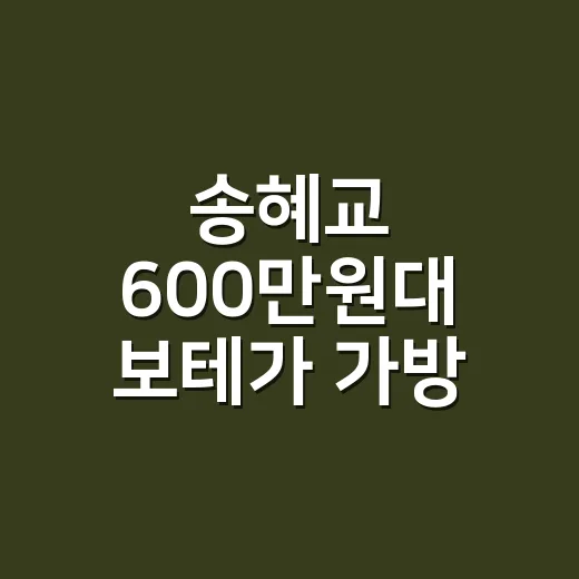 송혜교 600만원대 보테가 가방, 남성용인가 싶어서 손끝까지 맞춰본 이야기 - 요약