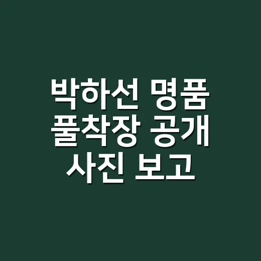 박하선 명품 풀착장 공개 사진 보고 손끝 컬러까지 떠올려본 이야기 - 요약