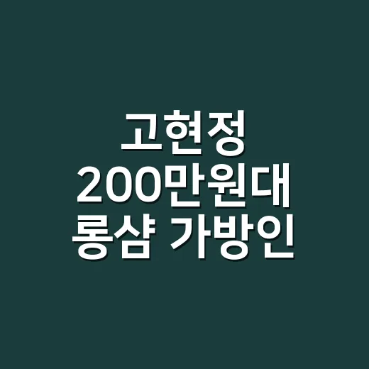 고현정 200만원대 롱샴 가방인 줄 알고 찾아봤더니 달랐던 진짜 정보 - 요약