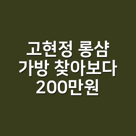 고현정 롱샴 가방 찾아보다 200만원대 이야기까지 확인해봤더니 - 요약