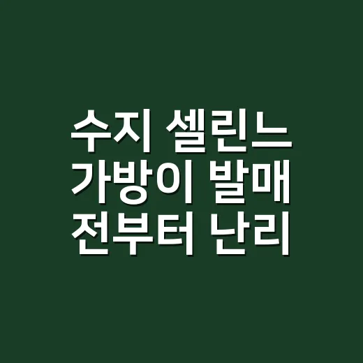 수지 셀린느 가방이 발매 전부터 난리라길래, 손끝 매치까지 상상해본 이야기 - 요약