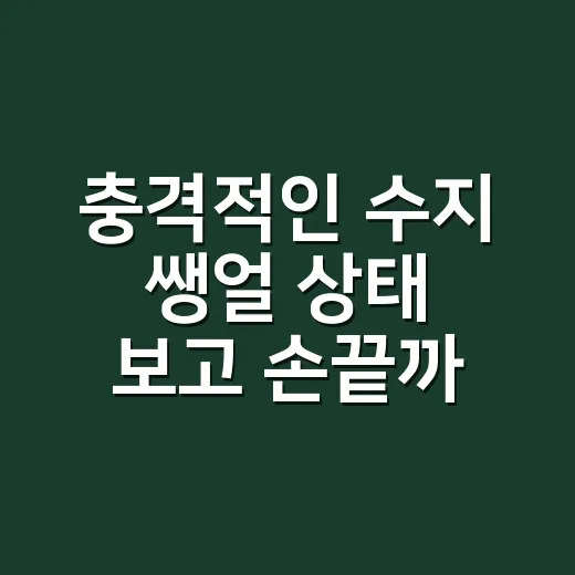 충격적인 수지 쌩얼 상태 보고 손끝까지 다시 보게 된 이야기 - 요약