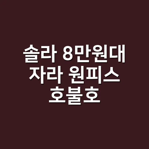 솔라 8만원대 자라 원피스 호불호, 네일리스트 눈으로 보니 달라 보였던 이야기 - 요약