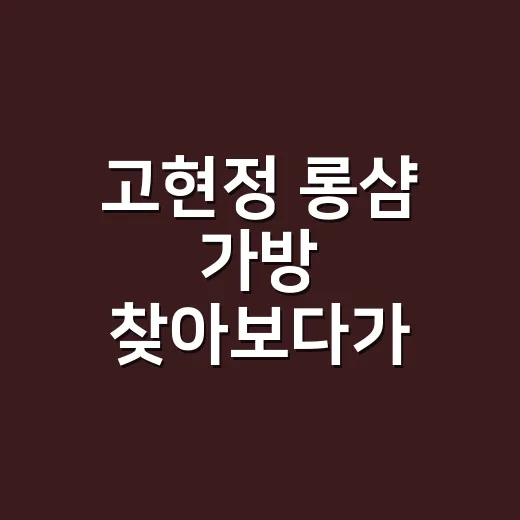 고현정 롱샴 가방 찾아보다가 40대 워너비 아이템의 기준이 달라졌어요 - 요약
