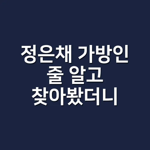 정은채 가방인 줄 알고 찾아봤더니, 명품 아닌 마트백이라 더 예뻤던 이야기 - 요약