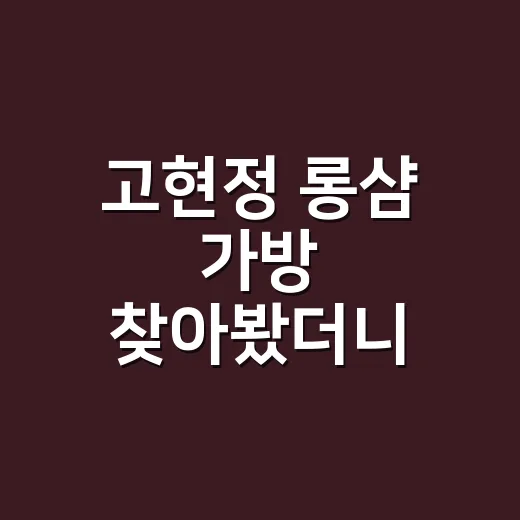 고현정 롱샴 가방 찾아봤더니, 40대가 끌리는 이유와 가격의 진짜 느낌 - 요약