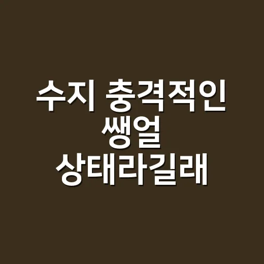 수지 충격적인 쌩얼 상태라길래 네일리스트 눈으로 봤더니 - 요약
