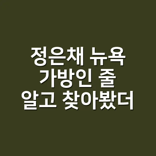 정은채 뉴욕 가방인 줄 알고 찾아봤더니, 명품보다 생활감이 먼저 보였던 후기 - 요약