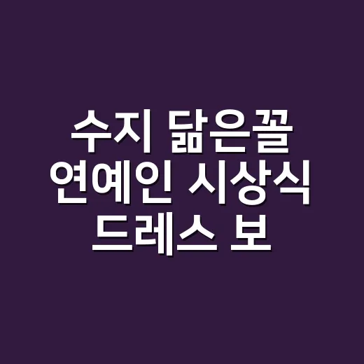 수지 닮은꼴 연예인 시상식 드레스 보다가 손끝까지 떠올린 이야기 - 요약