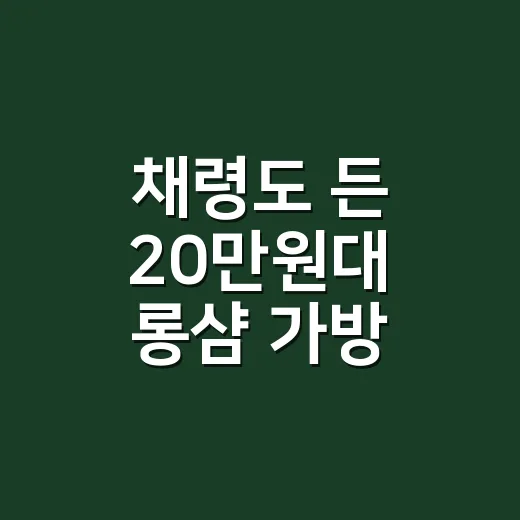 채령도 든 20만원대 롱샴 가방, 네일리스트가 출근 가방처럼 들여다본 후기 - 요약