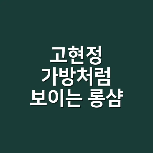 고현정 가방처럼 보이는 롱샴 200만원대 패션, 손끝까지 맞춰보니 달라졌던 이야기 - 요약