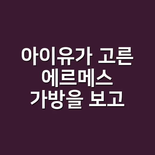 아이유가 고른 에르메스 가방을 보고 손끝 컬러까지 바꿔본 이야기 - 요약