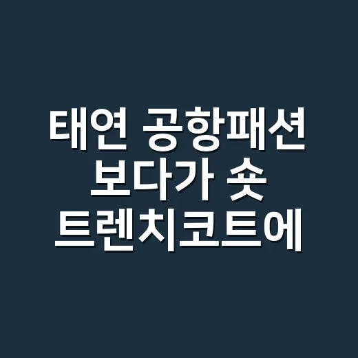 태연 공항패션 보다가 숏 트렌치코트에 손끝까지 맞춰본 이야기 - 요약