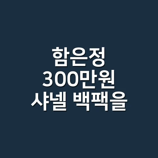 함은정 300만원 …