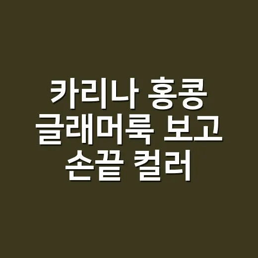 카리나 홍콩 글래머…