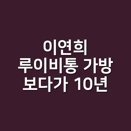 이연희 루이비통 가…