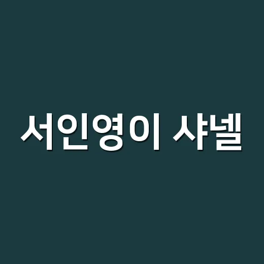 서인영이 샤넬·에르메스 명품백 처분한 걸 보며, 손끝에도 남는 것만 남겨야겠다고 느꼈다 - 요약