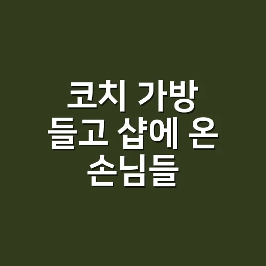 코치 가방 들고 샵에 온 손님들, 루이비통도 놀란다는 말이 괜히 나온 게 아니었어요 - 요약