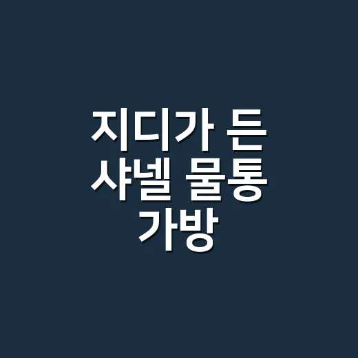 지디가 든 샤넬 물통 가방, 사복패션으로 보니 더 재밌었던 이야기 - 요약