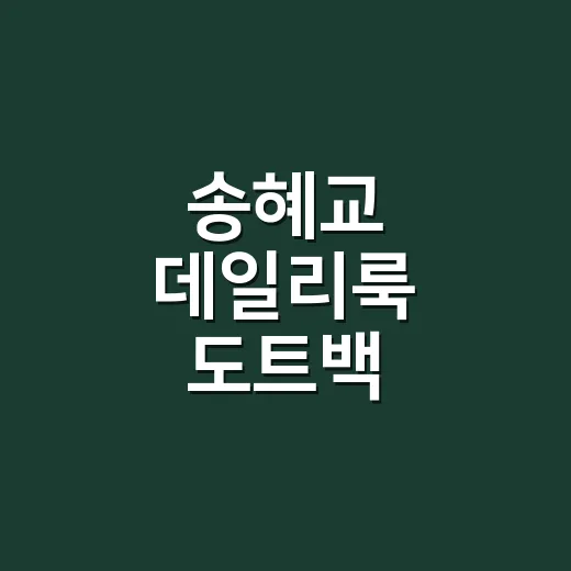 송혜교 데일리룩 도트백 찾아봤더니, 손끝까지 담백해지는 가방 이야기 - 요약