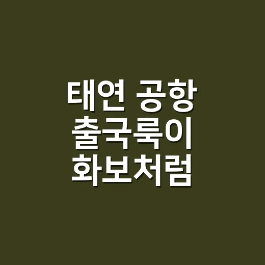 태연 공항 출국룩이 화보처럼 보였던 이유, 손끝까지 보고 온 네일리스트의 시선 - 요약