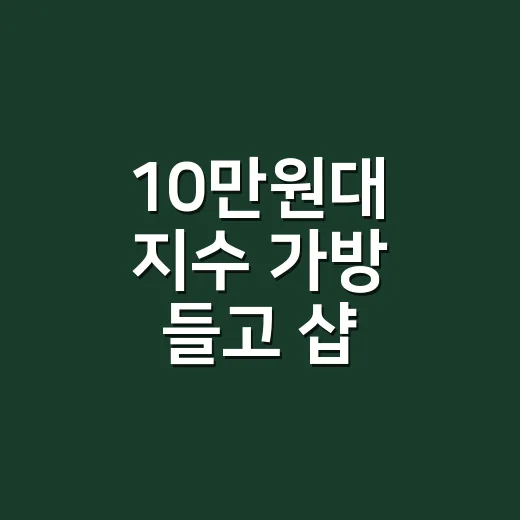 10만원대 지수 가방 들고 샵 출근해봤더니, 명품 대신 손이 간 진짜 이유 - 요약