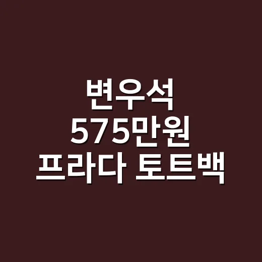 변우석 575만원 프라다 토트백 정체, 네일리스트 눈엔 이렇게 보였어요 - 요약