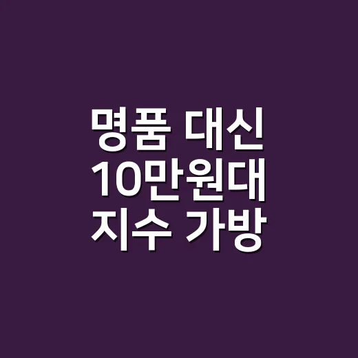 명품 대신 10만원대 지수 가방 들어봤더니 손끝까지 달라 보였던 이야기 - 요약