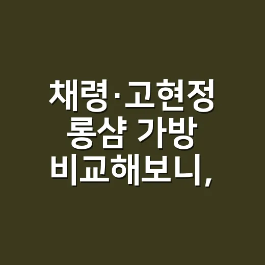 채령·고현정 롱샴 가방 비교해보니, 손끝까지 달라 보였던 이유 - 요약