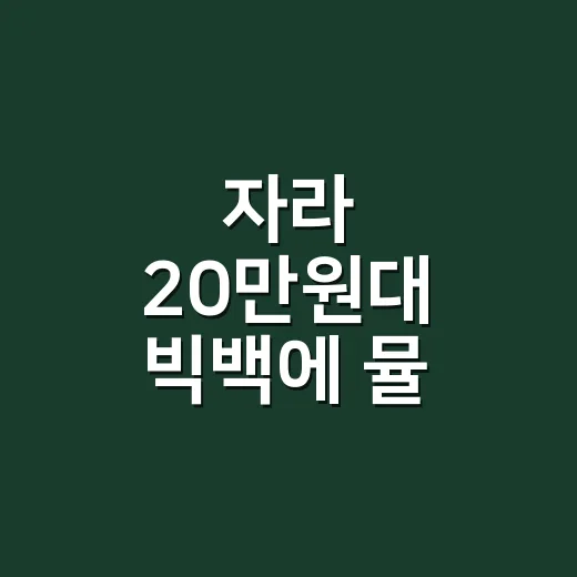 자라 20만원대 빅백에 뮬 신발까지 들어봤더니, 손끝 관리하는 사람이 본 진짜 퀄리티 - 요약