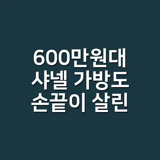 600만원대 샤넬 가방도 손끝이 살린다, 김소현 스타일을 보며 느낀 진짜 본전 이야기 - 요약