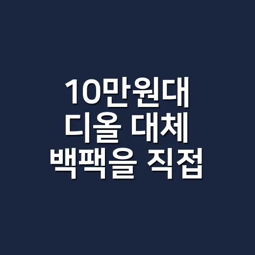 10만원대 디올 대체 백팩을 직접 들어보니, 지수 백팩 품절 대란이 이해됐던 날 - 요약