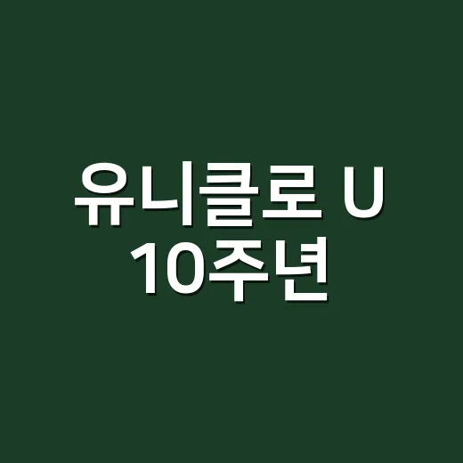 유니클로 U 10주년, 르메르맛 마지막 기회라길래 손끝까지 맞춰본 이야기 - 요약