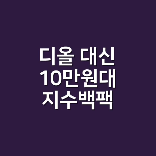 디올 대신 10만원대 지수백팩 골라봤더니 손이 더 자주 갔던 이야기 - 요약