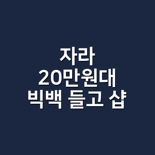 자라 20만원대 빅백 들고 샵 출근해봤더니, 뮬 신발까지 같이 보인 진짜 후기 - 요약