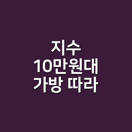 지수 10만원대 가방 따라 들어봤더니, 차정원 룩까지 생각난 이유 - 요약