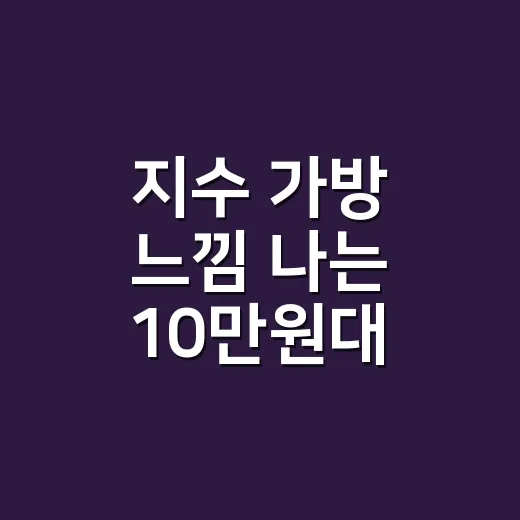 지수 가방 느낌 나는 10만원대 가성비 백팩을 들고 샵 출근해봤더니 - 요약