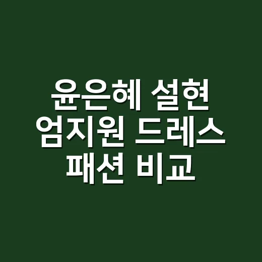 윤은혜 설현 엄지원 드레스 패션 비교해봤더니 손끝까지 보이더라 - 요약