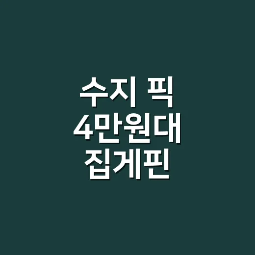 수지 픽 4만원대 집게핀 품절대란 보고 손끝 컬러까지 맞춰본 후기 - 요약