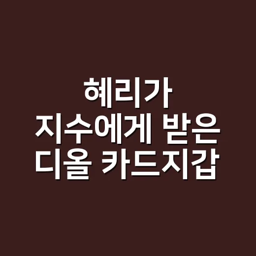 혜리가 지수에게 받은 디올 카드지갑, 손끝까지 같이 보이던 이유 - 요약