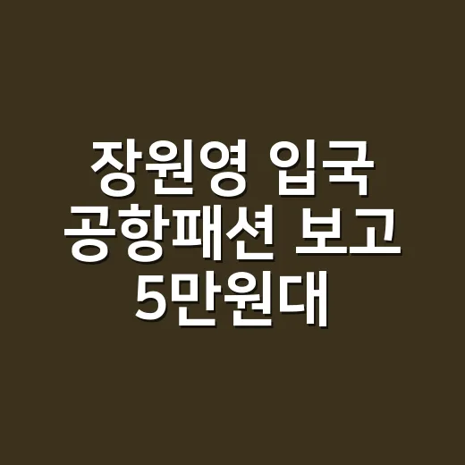 장원영 입국 공항패션 보고 5만원대 티셔츠보다 먼저 눈에 들어온 손끝 이야기 - 요약