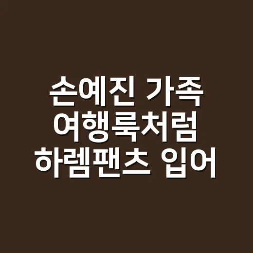손예진 가족 여행룩처럼 하렘팬츠 입어봤더니, 손끝까지 편안해 보이는 이유 - 요약