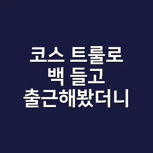 코스 트룰로 백 들고 출근해봤더니 손끝까지 단정해 보였던 이야기 - 요약