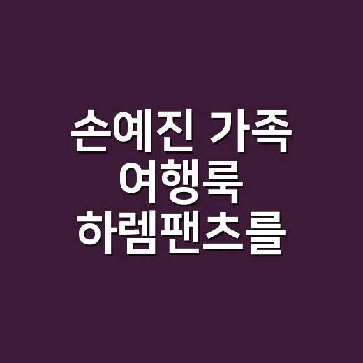 손예진 가족 여행룩 하렘팬츠를 보고 네일리스트가 떠올린 편안한 꾸안꾸의 진짜 이야기 - 요약